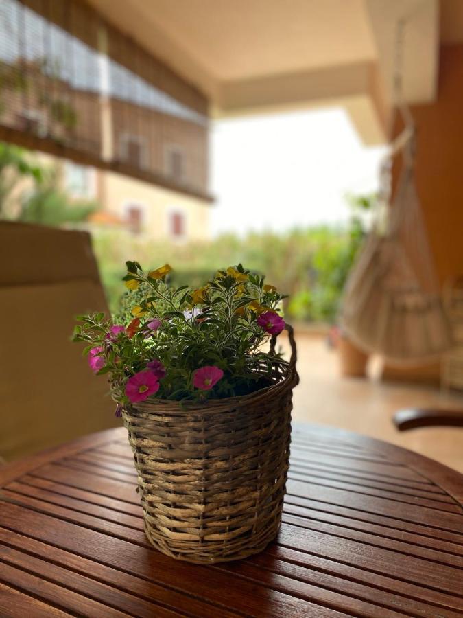 Apartman Rose-2025 Renovated Garden View بوريتش المظهر الخارجي الصورة